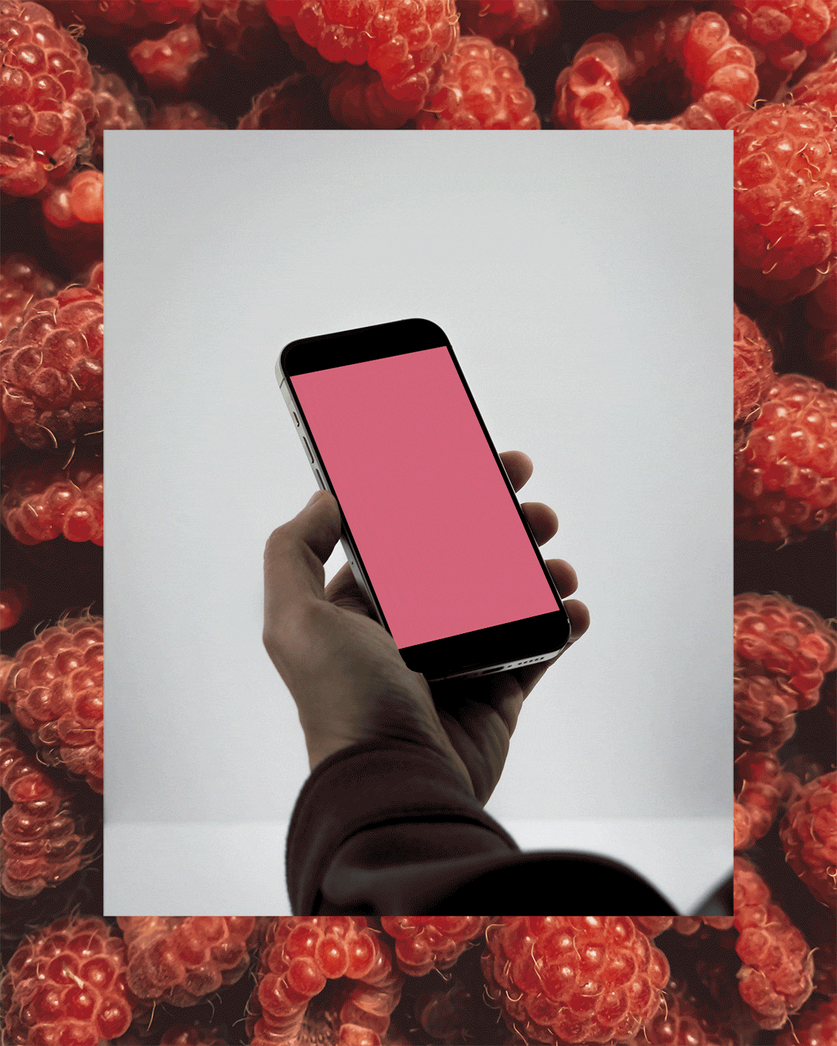 Webdesign_Relaunch-kleine-Cases_NPB-1